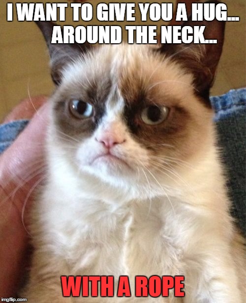 Grumpy Cat Meme | I WANT TO GIVE YOU A HUG...      AROUND THE NECK... WITH A ROPE | image tagged in memes,grumpy cat | made w/ Imgflip meme maker