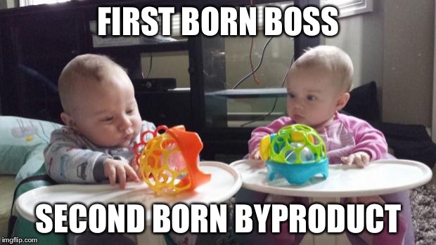 twins | FIRST BORN BOSS SECOND BORN BYPRODUCT | image tagged in twins | made w/ Imgflip meme maker