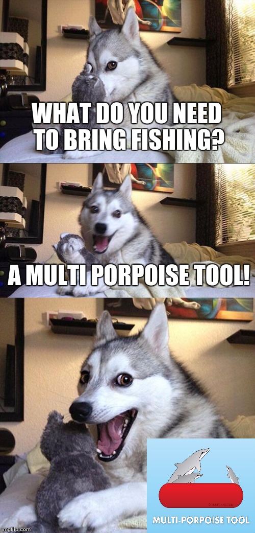 Bad Pun Dog | WHAT DO YOU NEED TO BRING FISHING? A MULTI PORPOISE TOOL! | image tagged in memes,bad pun dog | made w/ Imgflip meme maker