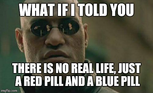 Matrix Morpheus Meme | WHAT IF I TOLD YOU THERE IS NO REAL LIFE, JUST A RED PILL AND A BLUE PILL | image tagged in memes,matrix morpheus | made w/ Imgflip meme maker