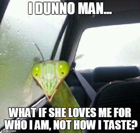 Introspective Mantis | I DUNNO MAN... WHAT IF SHE LOVES ME FOR WHO I AM, NOT HOW I TASTE? | image tagged in introspective mantis,memes,introspective pug,praying mantis | made w/ Imgflip meme maker