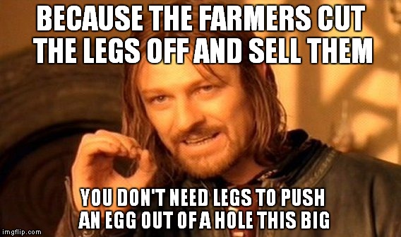One Does Not Simply Meme | BECAUSE THE FARMERS CUT THE LEGS OFF AND SELL THEM YOU DON'T NEED LEGS TO PUSH AN EGG OUT OF A HOLE THIS BIG | image tagged in memes,one does not simply | made w/ Imgflip meme maker