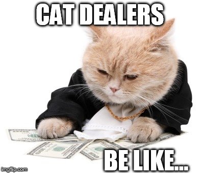 fat cat | CAT DEALERS BE LIKE... | image tagged in fat cat | made w/ Imgflip meme maker