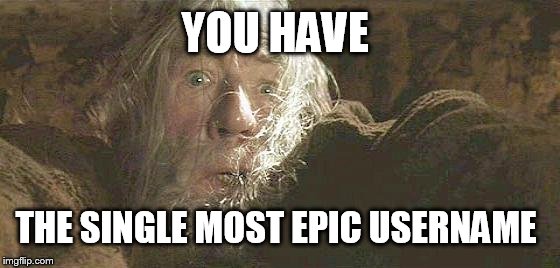 Gandalf Fly You Fools | YOU HAVE THE SINGLE MOST EPIC USERNAME | image tagged in gandalf fly you fools | made w/ Imgflip meme maker