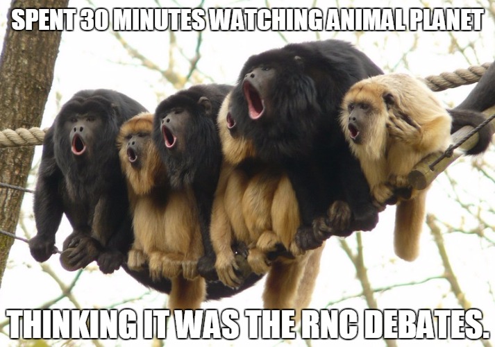 What's funnier than Republicans! | SPENT 30 MINUTES WATCHING ANIMAL PLANET THINKING IT WAS THE RNC DEBATES. | image tagged in monkeys,funny | made w/ Imgflip meme maker