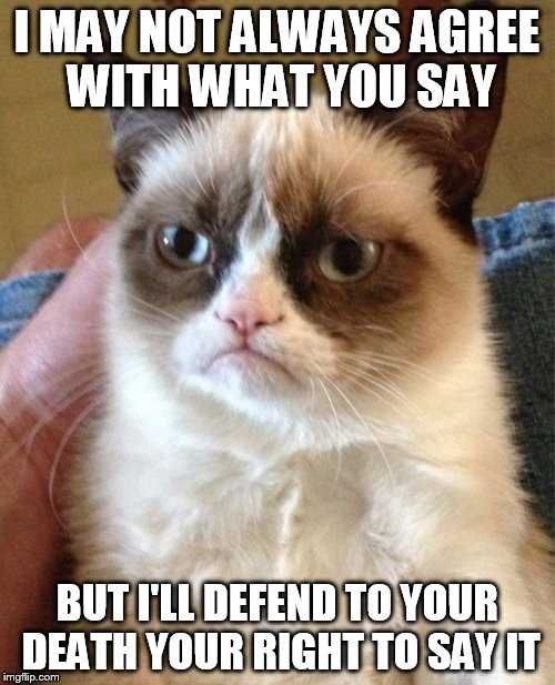 Grumpy Cat Meme | I MAY NOT ALWAYS AGREE WITH WHAT YOU SAY BUT I'LL DEFEND TO YOUR DEATH YOUR RIGHT TO SAY IT | image tagged in memes,grumpy cat | made w/ Imgflip meme maker