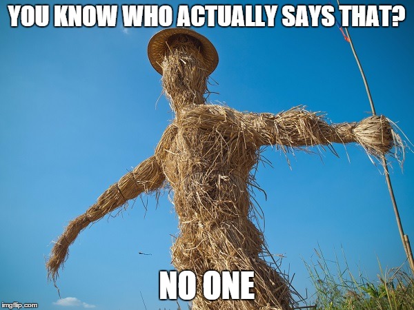 Your strawman argument is invalid | YOU KNOW WHO ACTUALLY SAYS THAT? NO ONE | image tagged in strawman,memes | made w/ Imgflip meme maker
