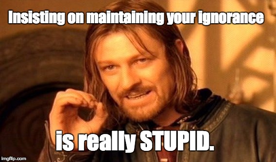 One Does Not Simply | Insisting on maintaining your ignorance is really STUPID. | image tagged in memes,one does not simply | made w/ Imgflip meme maker