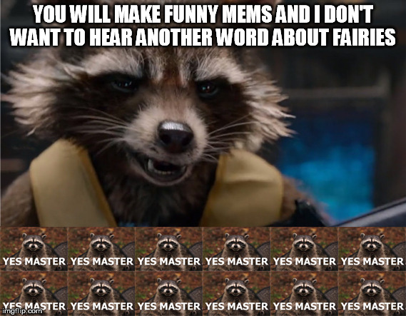 YES MASTER | YOU WILL MAKE FUNNY MEMS AND I DON'T WANT TO HEAR ANOTHER WORD ABOUT FAIRIES | image tagged in yes master | made w/ Imgflip meme maker