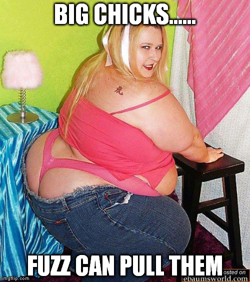 fat chicks | BIG CHICKS...... FUZZ CAN PULL THEM | image tagged in fat chicks | made w/ Imgflip meme maker