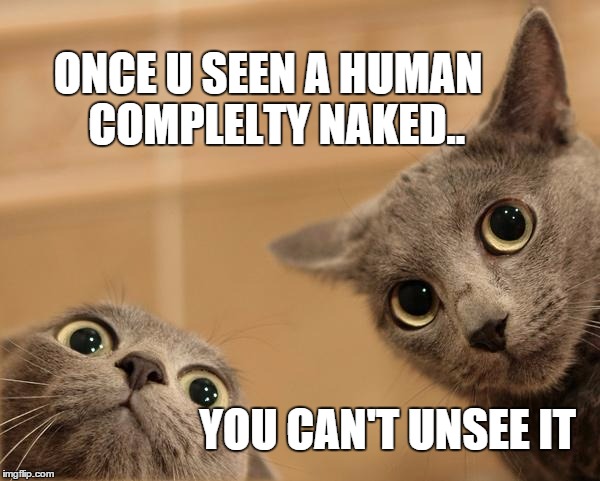 Startled Cats | ONCE U SEEN A HUMAN 
COMPLELTY NAKED.. YOU CAN'T UNSEE IT | image tagged in startled cats | made w/ Imgflip meme maker