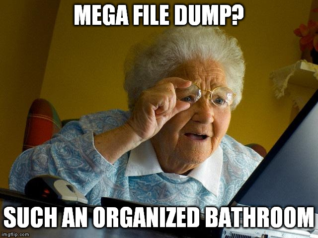 now for the label | MEGA FILE DUMP? SUCH AN ORGANIZED BATHROOM | image tagged in memes,grandma finds the internet | made w/ Imgflip meme maker