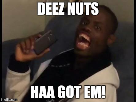 DEEZ NUTS HAA GOT EM! | made w/ Imgflip meme maker