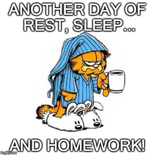 Sigh! | ANOTHER DAY OF REST, SLEEP... AND HOMEWORK! | image tagged in meow,garfield | made w/ Imgflip meme maker