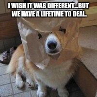 I'm not your dog | I WISH IT WAS DIFFERENT...BUT WE HAVE A LIFETIME TO DEAL. | image tagged in i'm not your dog | made w/ Imgflip meme maker