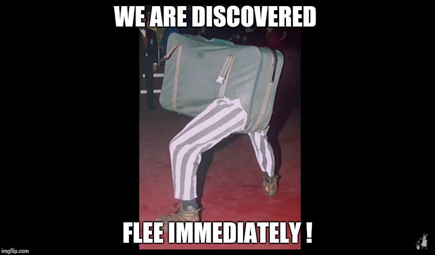 We are discovered flee immediately  | WE ARE DISCOVERED FLEE IMMEDIATELY ! | image tagged in funny | made w/ Imgflip meme maker