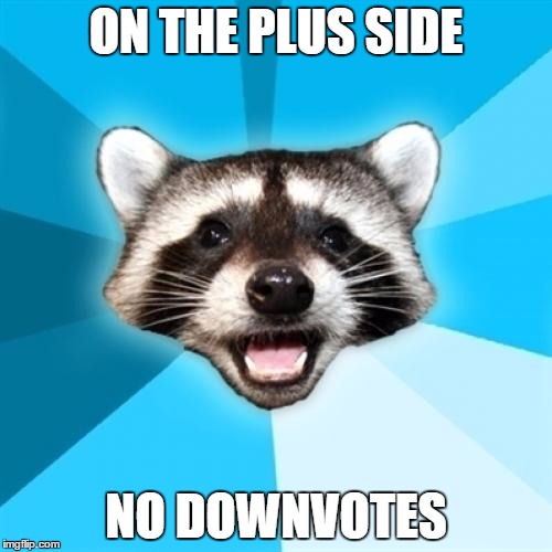 Lame Pun Coon Meme | ON THE PLUS SIDE NO DOWNVOTES | image tagged in memes,lame pun coon | made w/ Imgflip meme maker