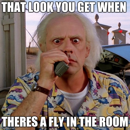 Back to the future  | THAT LOOK YOU GET WHEN THERES A FLY IN THE ROOM | image tagged in back to the future | made w/ Imgflip meme maker
