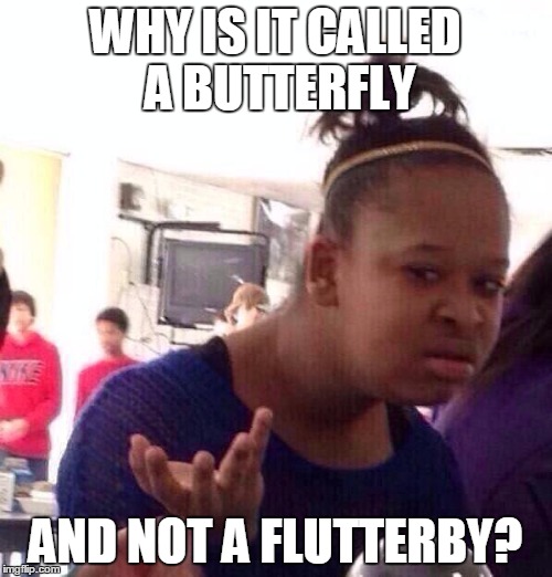 Black Girl Wat Meme | WHY IS IT CALLED A BUTTERFLY AND NOT A FLUTTERBY? | image tagged in memes,black girl wat | made w/ Imgflip meme maker