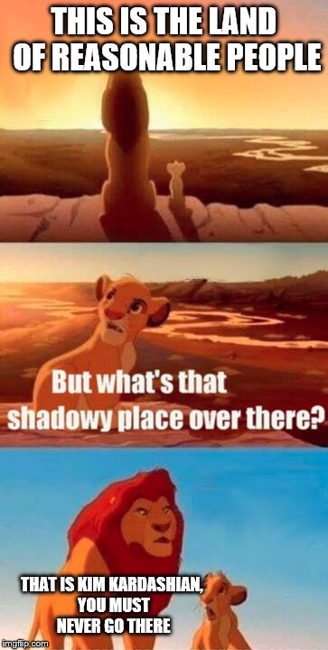 Simba Shadowy Place | THIS IS THE LAND OF REASONABLE PEOPLE THAT IS KIM KARDASHIAN, YOU MUST NEVER GO THERE | image tagged in memes,simba shadowy place | made w/ Imgflip meme maker