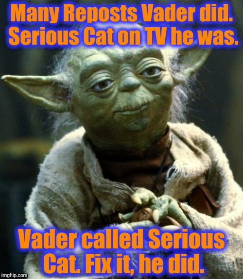 Today we have Yoda, telling us how Serious Cat saved a galaxy, no, Seriously. Serious Cat Meme Company! | Many Reposts Vader did. Serious Cat on TV he was. Vader called Serious Cat. Fix it, he did. | image tagged in star wars day,star wars | made w/ Imgflip meme maker