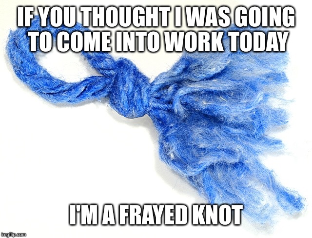 frayed knot | IF YOU THOUGHT I WAS GOING TO COME INTO WORK TODAY I'M A FRAYED KNOT | image tagged in frayed knot | made w/ Imgflip meme maker