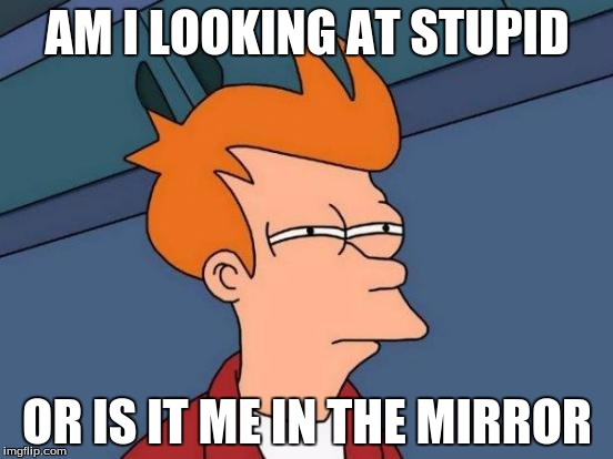 Futurama Fry Meme | AM I LOOKING AT STUPID OR IS IT ME IN THE MIRROR | image tagged in memes,futurama fry | made w/ Imgflip meme maker