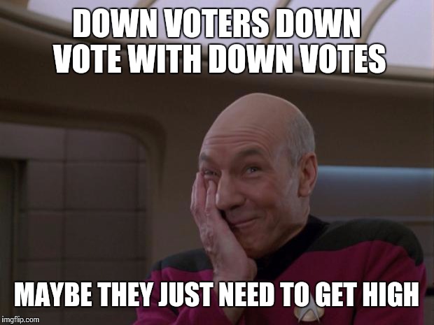Stupid Joke Picard | DOWN VOTERS DOWN VOTE WITH DOWN VOTES MAYBE THEY JUST NEED TO GET HIGH | image tagged in stupid joke picard | made w/ Imgflip meme maker