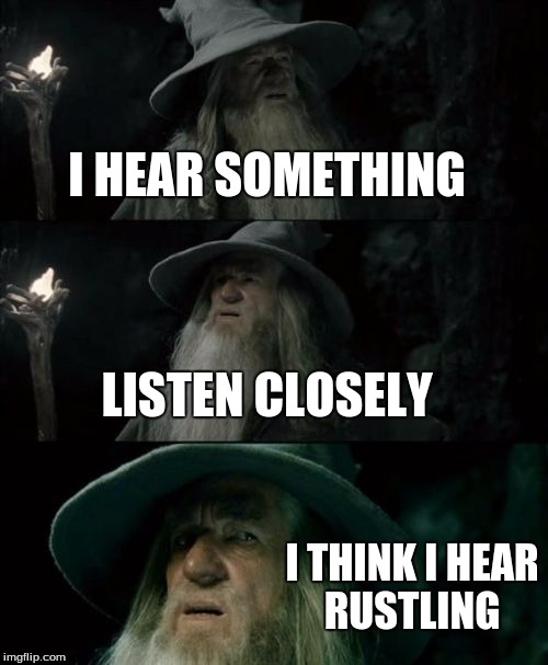 Confused Gandalf | I HEAR SOMETHING LISTEN CLOSELY I THINK I HEAR RUSTLING | image tagged in memes,confused gandalf | made w/ Imgflip meme maker