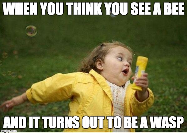 Chubby Bubbles Girl Meme | WHEN YOU THINK YOU SEE A BEE AND IT TURNS OUT TO BE A WASP | image tagged in memes,chubby bubbles girl | made w/ Imgflip meme maker