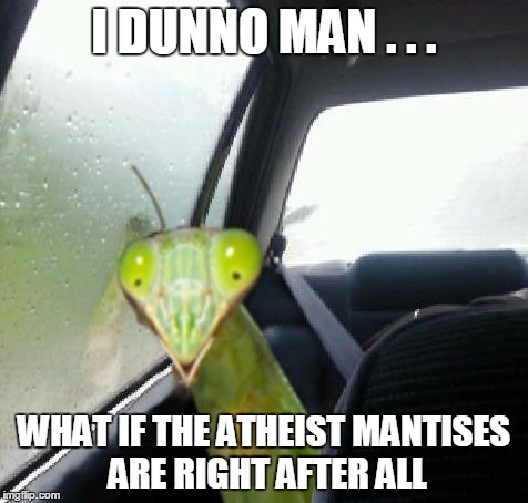 Not-so-praying mantis | I DUNNO MAN . . . WHAT IF THE ATHEIST MANTISES ARE RIGHT AFTER ALL | image tagged in funny memes,clinkster custom template,introspective praying mantis,mantis memes,praying mantis | made w/ Imgflip meme maker