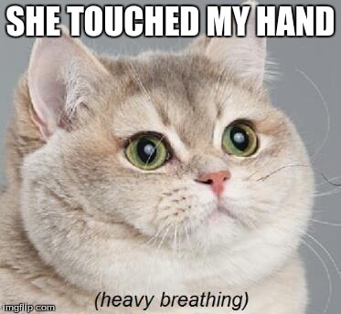 Heavy Breathing Cat | SHE TOUCHED MY HAND | image tagged in memes,heavy breathing cat | made w/ Imgflip meme maker