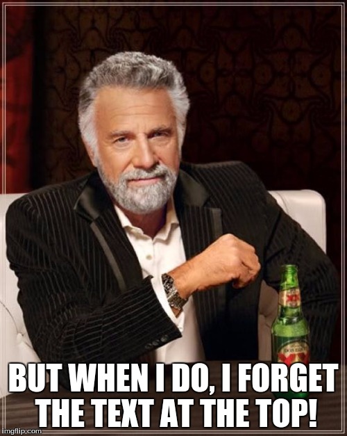 The Most Interesting Man In The World Meme | BUT WHEN I DO, I FORGET THE TEXT AT THE TOP! | image tagged in memes,the most interesting man in the world | made w/ Imgflip meme maker