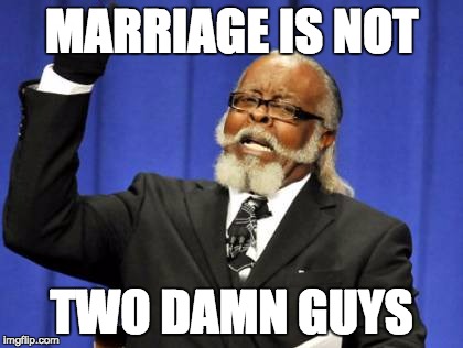Too Damn High Meme | MARRIAGE IS NOT TWO DAMN GUYS | image tagged in memes,too damn high | made w/ Imgflip meme maker
