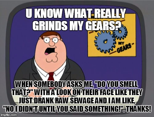 Peter Griffin News Meme | U KNOW WHAT REALLY GRINDS MY GEARS? WHEN SOMEBODY ASKS ME, "DO YOU SMELL THAT?" WITH A LOOK ON THEIR FACE LIKE THEY JUST DRANK RAW SEWAGE AN | image tagged in memes,peter griffin news | made w/ Imgflip meme maker