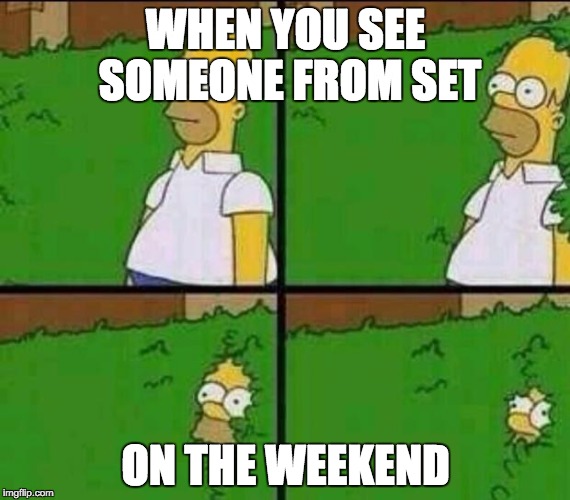 Homer Simpson in Bush - Large | WHEN YOU SEE SOMEONE FROM SET ON THE WEEKEND | image tagged in homer simpson in bush - large | made w/ Imgflip meme maker