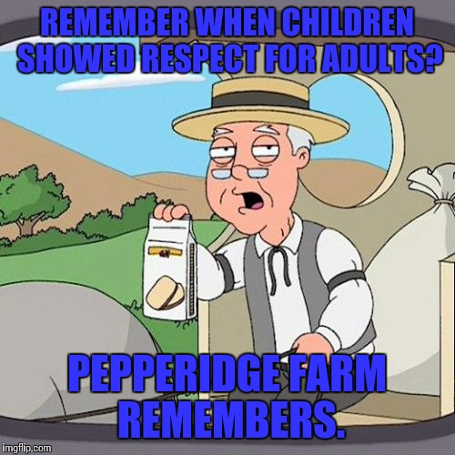 Pepperidge Farm Remembers | REMEMBER WHEN CHILDREN SHOWED RESPECT FOR ADULTS? PEPPERIDGE FARM REMEMBERS. | image tagged in memes,pepperidge farm remembers | made w/ Imgflip meme maker