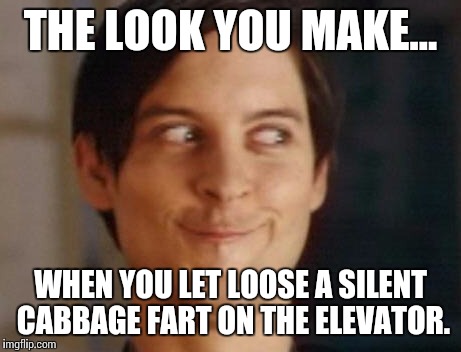 Spiderman Peter Parker Meme | THE LOOK YOU MAKE... WHEN YOU LET LOOSE A SILENT CABBAGE FART ON THE ELEVATOR. | image tagged in memes,spiderman peter parker | made w/ Imgflip meme maker
