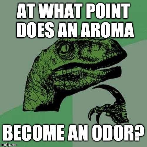 Philosoraptor | AT WHAT POINT DOES AN AROMA BECOME AN ODOR? | image tagged in memes,philosoraptor | made w/ Imgflip meme maker