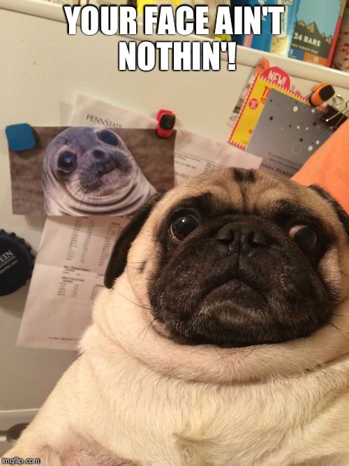 Awkward moment pug | YOUR FACE AIN'T NOTHIN'! | image tagged in awkward moment pug | made w/ Imgflip meme maker