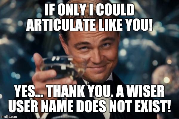 Leonardo Dicaprio Cheers Meme | IF ONLY I COULD ARTICULATE LIKE YOU! YES... THANK YOU. A WISER USER NAME DOES NOT EXIST! | image tagged in memes,leonardo dicaprio cheers | made w/ Imgflip meme maker