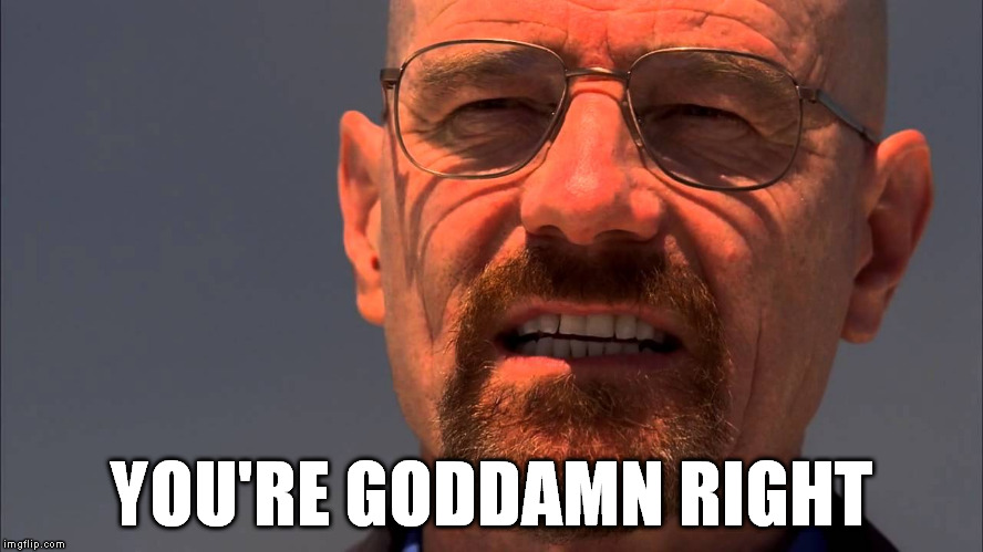 Walter White | YOU'RE GO***MN RIGHT | image tagged in walter white | made w/ Imgflip meme maker