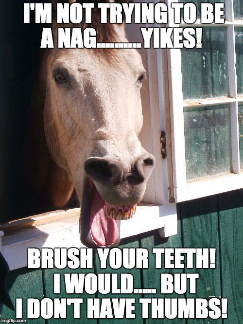 Time to See Your Dentist!  | I'M NOT TRYING TO BE A NAG..........YIKES! BRUSH YOUR TEETH!  I WOULD..... BUT I DON'T HAVE THUMBS! | image tagged in dentist,dental exam,brushing teeth | made w/ Imgflip meme maker