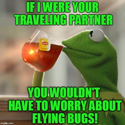 But That's None Of My Business Meme | IF I WERE YOUR TRAVELING PARTNER YOU WOULDN'T HAVE TO WORRY ABOUT FLYING BUGS! | image tagged in memes,but thats none of my business,kermit the frog | made w/ Imgflip meme maker