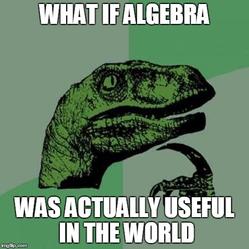 Philosoraptor | WHAT IF ALGEBRA WAS ACTUALLY USEFUL IN THE WORLD | image tagged in memes,philosoraptor | made w/ Imgflip meme maker