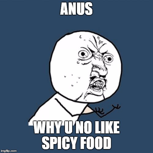 Y U No | ANUS WHY U NO LIKE SPICY FOOD | image tagged in memes,y u no | made w/ Imgflip meme maker