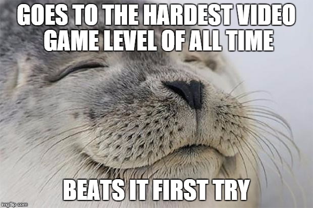Satisfied Seal Meme | GOES TO THE HARDEST VIDEO GAME LEVEL OF ALL TIME BEATS IT FIRST TRY | image tagged in memes,satisfied seal | made w/ Imgflip meme maker