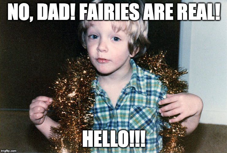 Sassy little boy: Fairies are real. | NO, DAD! FAIRIES ARE REAL! HELLO!!! | image tagged in sassy little boy,lgbt,gay boy,little kids,fairies,faeries | made w/ Imgflip meme maker