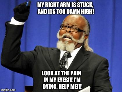 Oh the pain! | MY RIGHT ARM IS STUCK, AND ITS TOO DAMN HIGH! LOOK AT THE PAIN IN MY EYES!!! I'M DYING, HELP ME!!! | image tagged in memes,too damn high,lol,owned,pain | made w/ Imgflip meme maker