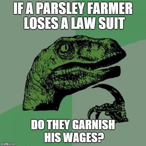 Philosoraptor | IF A PARSLEY FARMER LOSES A LAW SUIT DO THEY GARNISH HIS WAGES? | image tagged in memes,philosoraptor | made w/ Imgflip meme maker